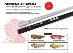 OF Supreme Arowana Colour Enhancemant LED 